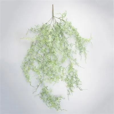 As samambaias de aparência real precisam de um fertilizante com alto teor de ...